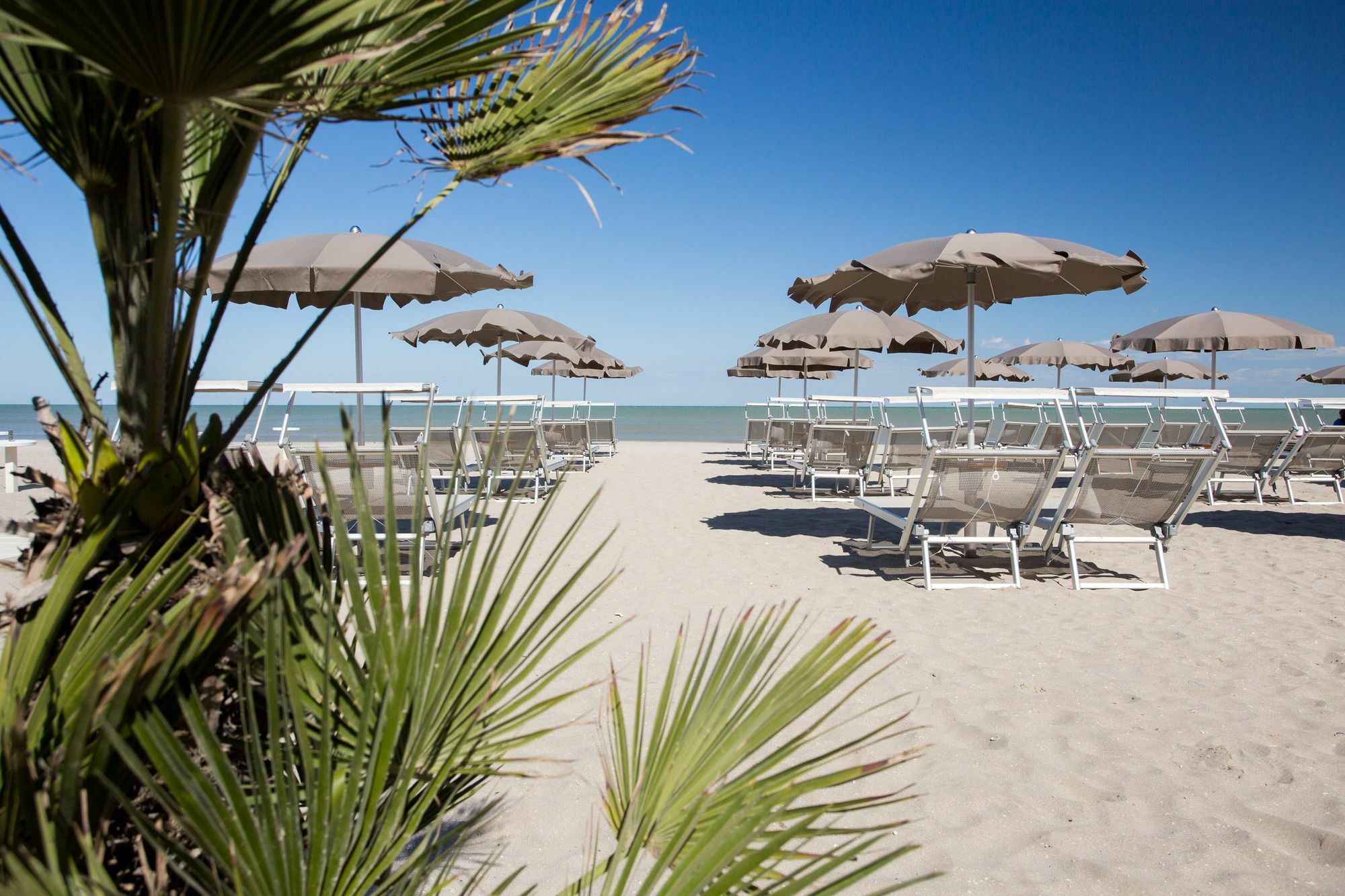 Hotel Solemare Milano Marittima Eksteriør billede